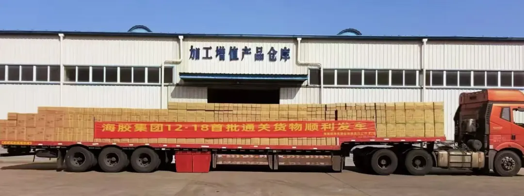 1767234954085065861.jpg 1767234954085065861.jpg